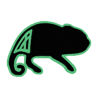 Caps Snapback Sticker by Findlay Hats