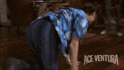 ace ventura spinning GIF