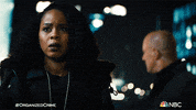 Season 2 Episode 13 GIF by Law & Order
