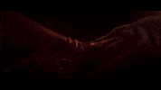 From Software Hand GIF by BANDAI NAMCO