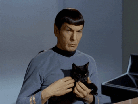 Star Trek Cat GIF