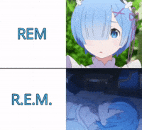 alexuualex subaru rem rezero GIF