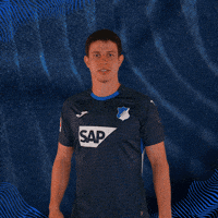 Sport Bundesliga GIF by TSG Hoffenheim