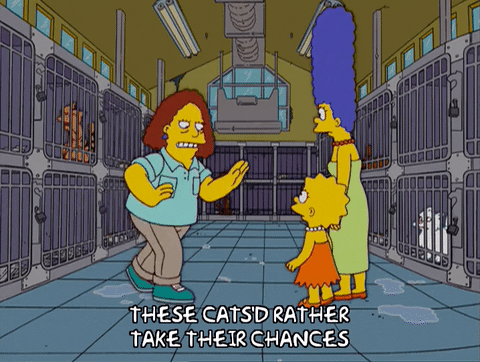 marge simpson cats GIF