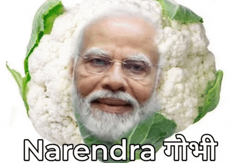 Rahul Gandhi Modi GIF