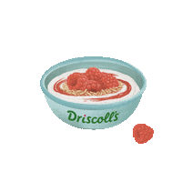 health breakfast Sticker by DriscollsBerry