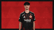 Eintracht Frankfurt Football GIF by Bundesliga
