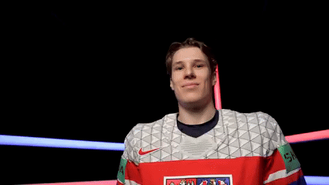 ceskyhokej giphyupload ice hockey zurich hokej GIF
