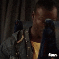 mick taylor stan original GIF by Stan.