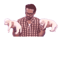 wagmorpets dog puppy dogs pets Sticker