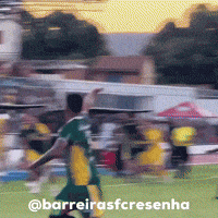 Bfc GIF