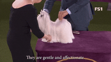 Gentle And Affectionate