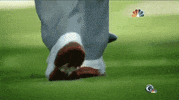 zach johnson no GIF