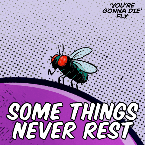 No Days Off Keep Moving GIF by VeeFriends