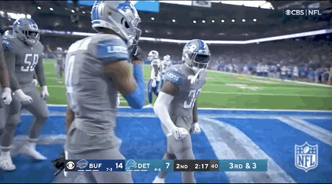 Detroit Lions Football GIF by NFL