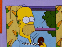 homer simpson GIF