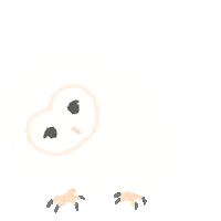 Yoritsukikawa owl owlet barn owl フクロウ Sticker