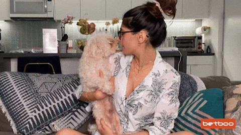 Dog Kiss GIF by Betboo