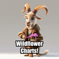 Presentation GIF by Radiantelope