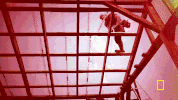 lifebelowzero GIF by National Geographic Channel