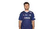 Holstein Kiel Arms Sticker by Bundesliga