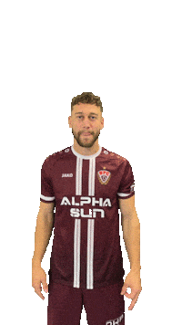 Celebration Goal Sticker by BFC Dynamo