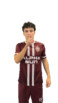 Pst Sticker by BFC Dynamo