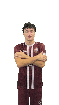 Goal Sticker by BFC Dynamo