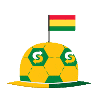 Football Futbol Sticker by Subway Colombia