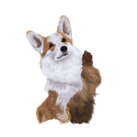 Hungry Dog Sticker