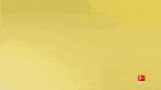 Borussia Dortmund Football GIF by Bundesliga