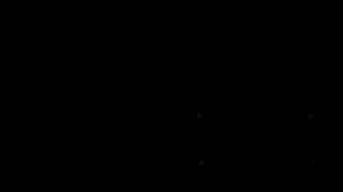 GIF by Maxx&Afi