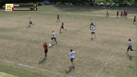 flikulti ultimate frisbee flik GIF