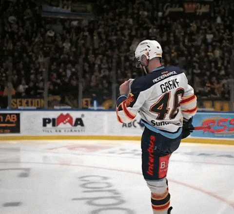 TristanDjuuuu djurgården grewe GIF