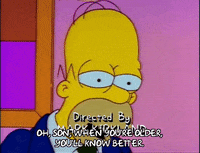 Season 2 Episode 20 GIF by The Simpsons