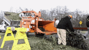 christmas tree mulch GIF by WAMU