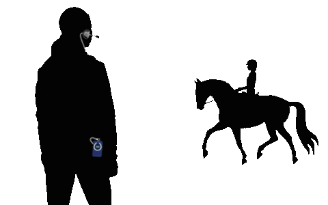 whisnl giphyupload coach rider equestrian Sticker