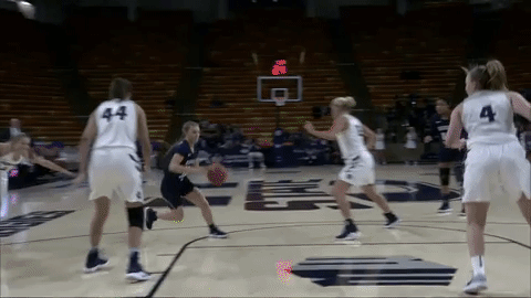 utah state womansbasketball GIF by USUAthletics