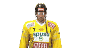 Hockey Dancing Sticker by Vienna Capitals