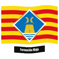 Islas Baleares Flag Sticker by Formación Ninja