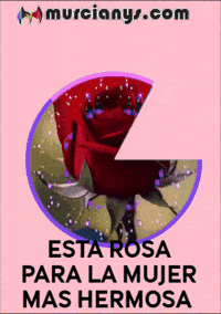 Del Mundo Amigos GIF by Murcianys LLC