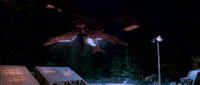 Landing Star Trek GIF by Goldmaster