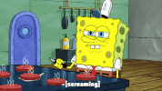 season 9 episode 6 GIF by SpongeBob SquarePants