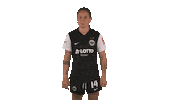 Celebration Sticker by Eintracht Frankfurt