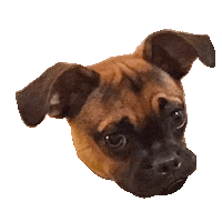 Dog What Sticker by megan lockhart