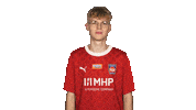 Vbl Hdh Sticker by Bundesliga