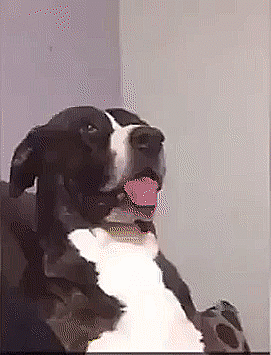 work meeting GIF