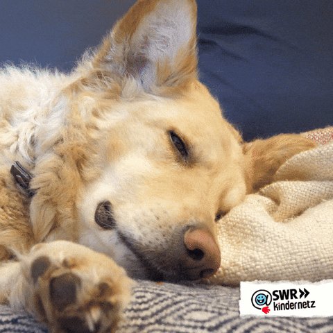 Tired Spring Fever GIF by SWR Kindernetz