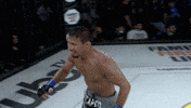 lightsoutxf celebration celebrate win jump GIF