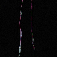 life time GIF by XCOPY